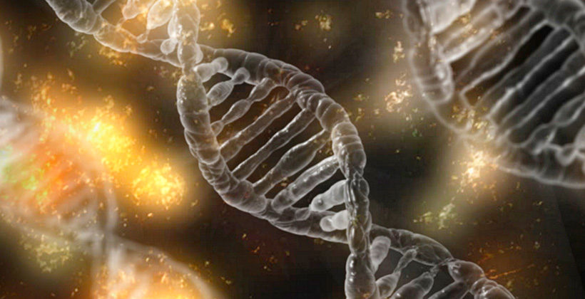 Что такое ДНК? Наследственность плохая и хорошая, зачем делать тест, что он может нам показать