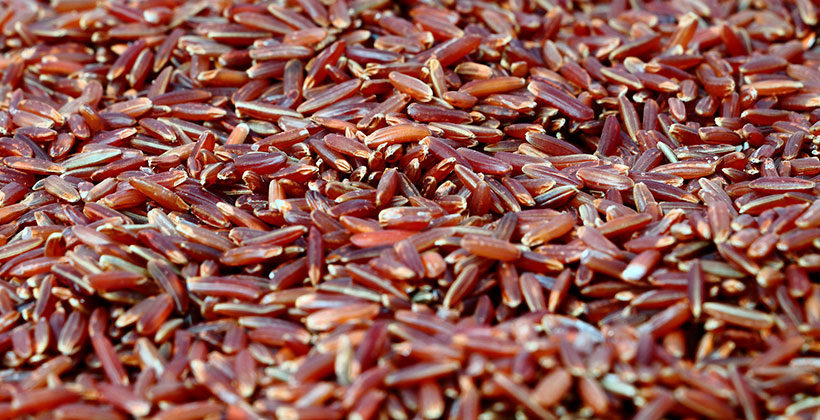 Красный рис: польза от его применения. Как использовать красный рис для похудения