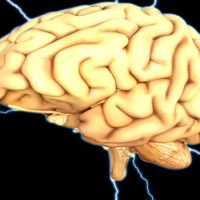 Нейронные связи головного мозга: почему умирают нервные клетки и как создавать новые связи
