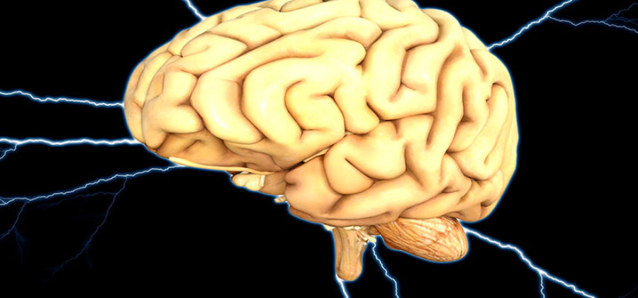 Нейронные связи головного мозга: почему умирают нервные клетки и как создавать новые связи
