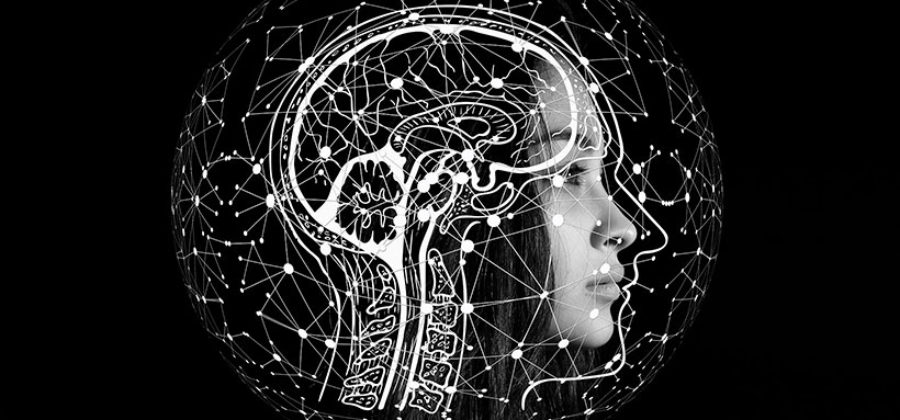 Нейрофитнес: 8 эффективных упражнений для улучшения работы мозга и развития памяти