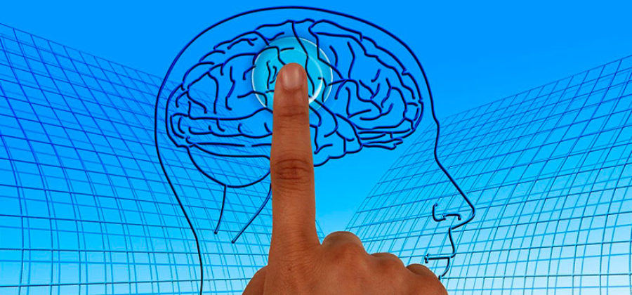 Мозаика мозга: полезные навыки для улучшения памяти и повышения когнитивных функций